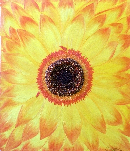 Gerbera  3D