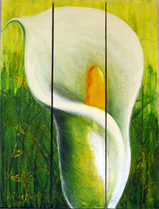 Trilogia con Calla