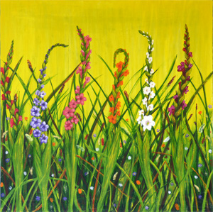 Campo di Gladioli