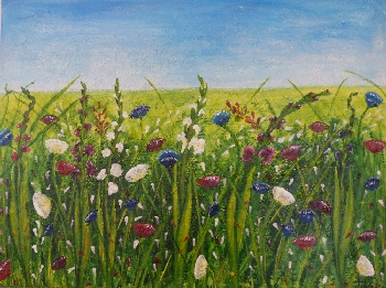 Campo fiorito