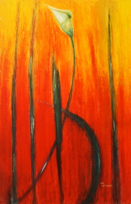 Calla